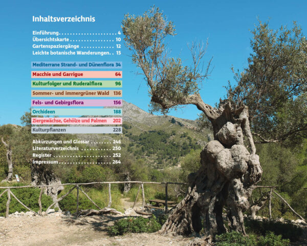 Mallorcas Flora | botanische wandelgids Mallorca 9783763361076 Rolf Goetz Bergverlag Rother Rother Wanderbuch  Natuurgidsen, Plantenboeken, Wandelgidsen Mallorca