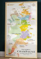 Champagne Carte des Crus (La côte des Blancs) 3770021733450  Affiche   Culinaire reisgidsen, Wandkaarten, Wijnreisgidsen Champagne, Franse Ardennen