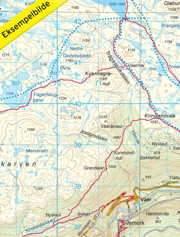 NO-3018 Gaustatoppen topografische wandelkaart 1:50.000 7046660030189  Nordeca Topo 3000  Wandelkaarten Zuid-Noorwegen
