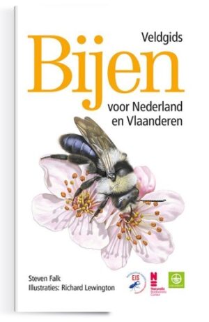 Bijen | Veldgids voor Nederland en Vlaanderen 9789021575513 Steven Falk, ill.: Richard Lewington Kosmos   Natuurgidsen Benelux