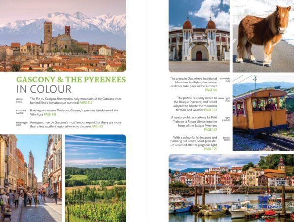 Gascony & the Pyrenees | reisgids 9781784779177  Bradt   Reisgidsen Franse Pyreneeën, Lot, Tarn, Toulouse