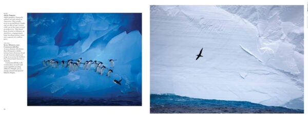 Antarctica: Life on the Frozen Continent 9781838861971  Amber Books Destinations  Fotoboeken Antarctica