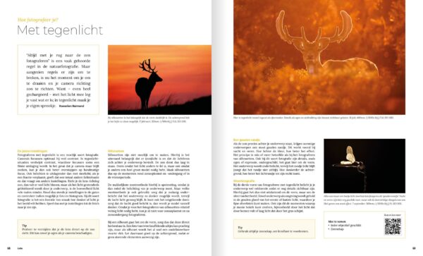 Het complete handboek natuurfotografie 9789079588480 Bob Luijks Birdpix   Fotoboeken, Natuurgidsen Reisinformatie algemeen