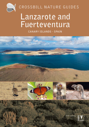 Crossbill Guide Lanzarote and Fuerteventura | natuurreisgids 9789491648267 Dirk Hilbers en Kees Woutersen Crossbill Guides Nature Guides  Natuurgidsen Fuerteventura, Lanzarote