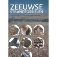 Zeeuwse strandfossielen 9789492170170 Raad, Harry De Vrije Uitgevers   Natuurgidsen Zeeland