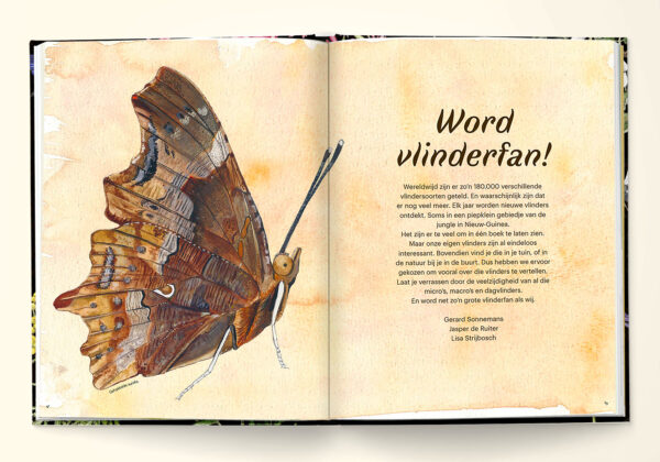 Handboek voor vlinderfans 9789491707346 Gerard Sonnemans, ill.: Jasper de Ruiter Menuet   Natuurgidsen Reisinformatie algemeen