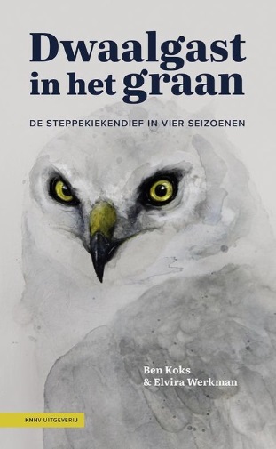 Dwaalgast in het graan | Elvira Werkman 9789050118590 Elvira Werkman KNNV   Natuurgidsen, Vogelboeken Europa