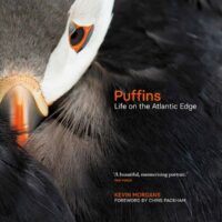 Puffins : Life on the Atlantic Edge 9781913207779 by Kevin Morgans (Author) , Chris Packham (Forewor Sandstone Press   Natuurgidsen, Vogelboeken Britse Eilanden, Zeeën en oceanen