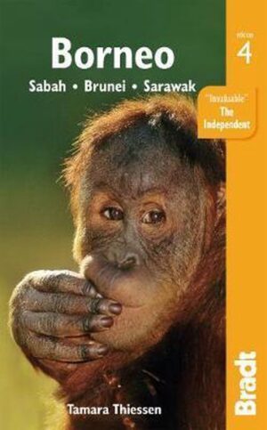reisgids Borneo (Bradt) 9781784774738  Bradt   Reisgidsen Maleisië en Brunei