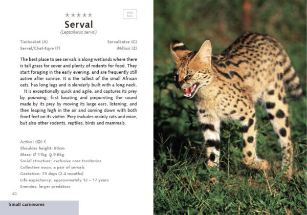 Kruger Wildlife | natuurgids 9781776433100 Philip, Ingrid & Heinrich Van den Berg HPH Publishing   Natuurgidsen, Reisgidsen Zuid-Afrika