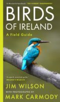 Birds in Ireland | vogelgids Ierland 9781804580721 Jim Wilson, Mark Carmody Gill & Macmillan   Natuurgidsen, Vogelboeken Ierland