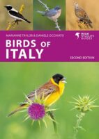 Birds of Italy | vogelgids Italië 9781399410649 Marianne Taylor, Daniele Occhiato Bloomsbury   Natuurgidsen, Vogelboeken Italië