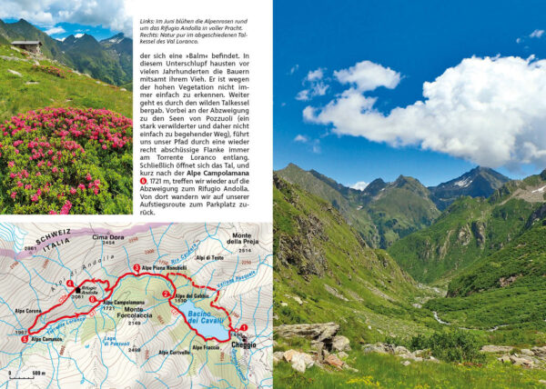 wandelgids Ossola-Täler Rother Wanderführer 9783763347612  Bergverlag Rother RWG  Wandelgidsen Turijn, Piemonte