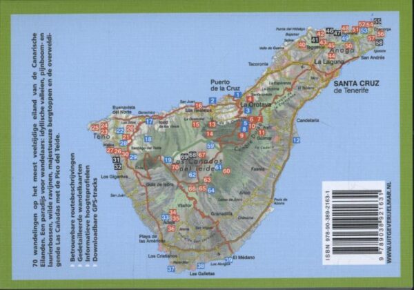 Rother wandelgids Tenerife 9789038929217  Elmar RWG  Wandelgidsen Tenerife