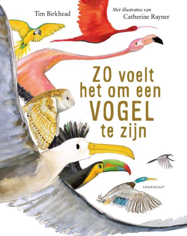 Zo voelt het om een vogel te zijn | Tim Birkhead 9789047715221 Tim Birkhead Lemniscaat   Natuurgidsen, Vogelboeken Reisinformatie algemeen