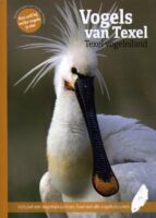 Vogels van Texel | Marc Plomp 9789061095590 Marc Plomp Bekking & Blitz   Natuurgidsen, Vogelboeken Waddeneilanden en Waddenzee