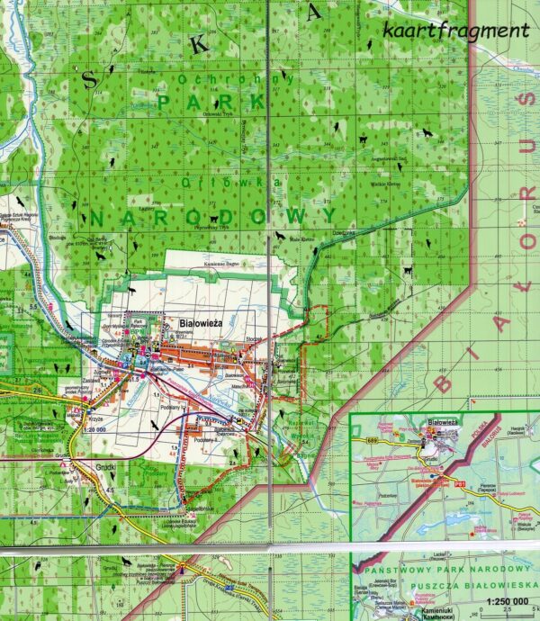 Bialowieza Forest | wandelkaart 1:50.000 Puszca Bialowieska 9788380465176  ExpressMap Comfort! Map  Wandelkaarten Noordoost-Polen met Mazurië