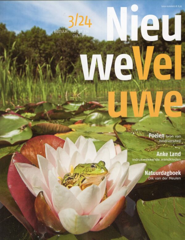 tijdschrift Nieuwe Veluwe | herfst 2024 TNV243  Nieuwe Veluwe Tijdschriften  Landeninformatie, Natuurgidsen Arnhem en de Veluwe