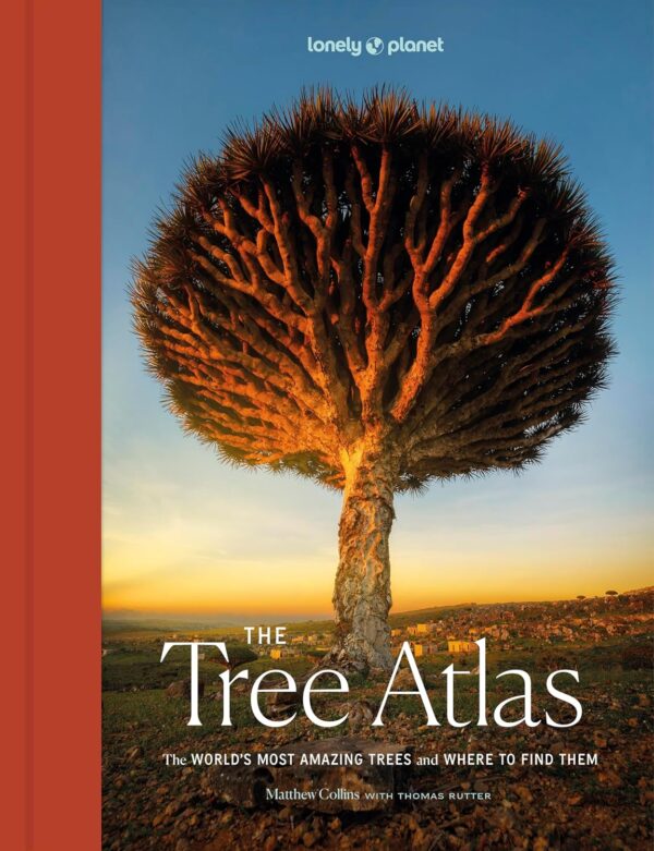 Lonely Planet The Tree Atlas 9781837582679  Lonely Planet   Natuurgidsen, Plantenboeken Wereld als geheel