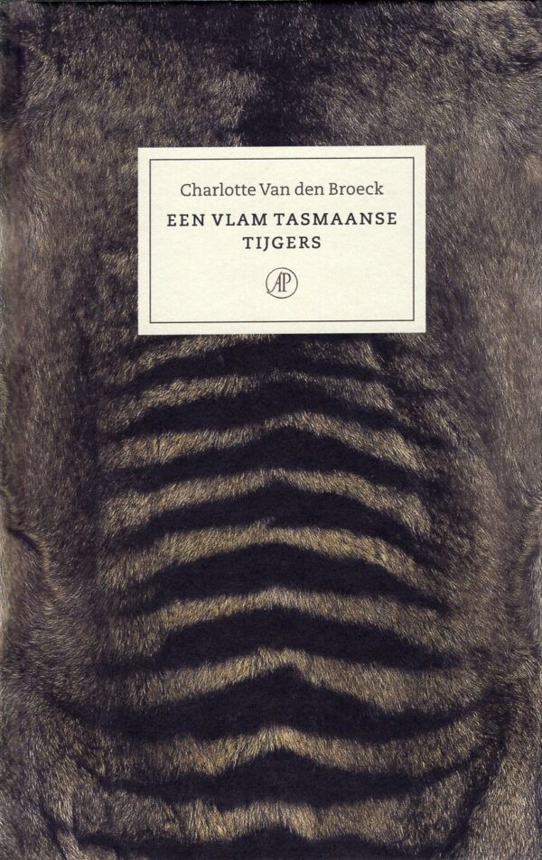 Een vlam Tasmaanse tijgers | Charlotte Van den Broek 9789029542760  Arbeiderspers   Natuurgidsen, Reisverhalen & literatuur Australië