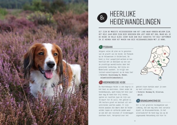 Eropuit met je hond | Marleen Brekelmans 9789043935913 Marleen Brekelmans Kosmos   Hotelgidsen, Wandelgidsen Nederland