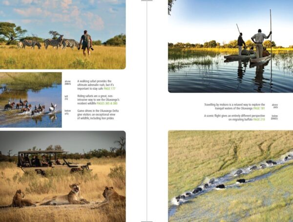 reisgids Botswana / Safari guide (Bradt) 9781804692233  Bradt   Reisgidsen Botswana