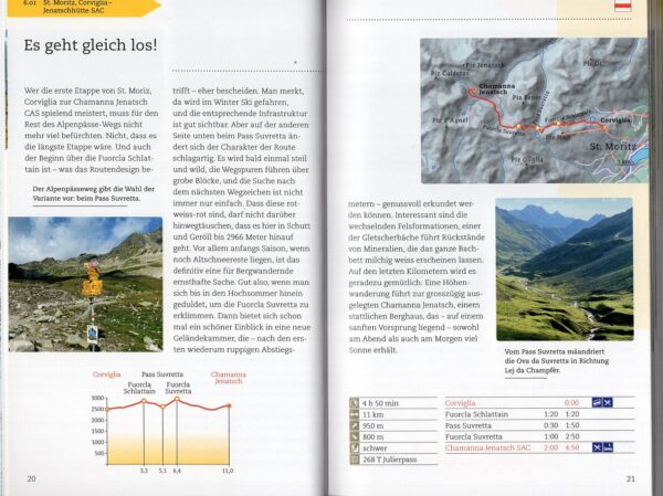 Band 6: Alpenpässe-Weg | wandelgids 9783039022427 Von David Coulin, Ludwig Weh, Philipp Bachmann AT-Verlag Wanderland Schweiz  Wandelgidsen Zwitserland