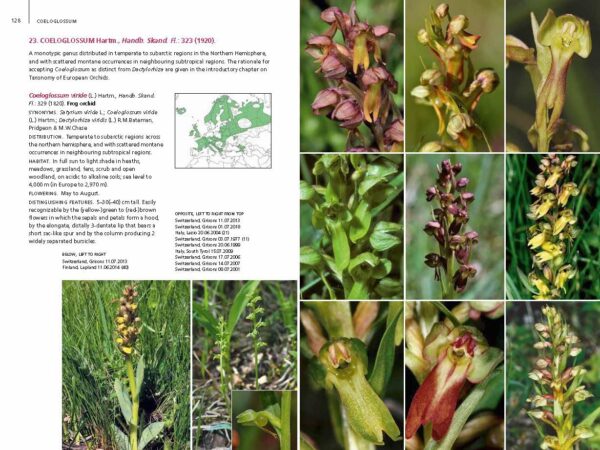 Field Guide to the Orchids of Europe and the Mediterranean 9781842468197 Royal Botanic Gardens: Rolf Kuhn, Phillip Cribb Kew Publishing   Natuurgidsen, Plantenboeken Europa