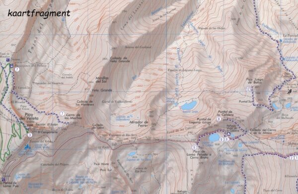 Sierra Nevada | wandelkaart 1:25.000 9788412689051  Editorial Piolet   Wandelkaarten Prov. Málaga & Granada, Grazalema, Sierra Nevada