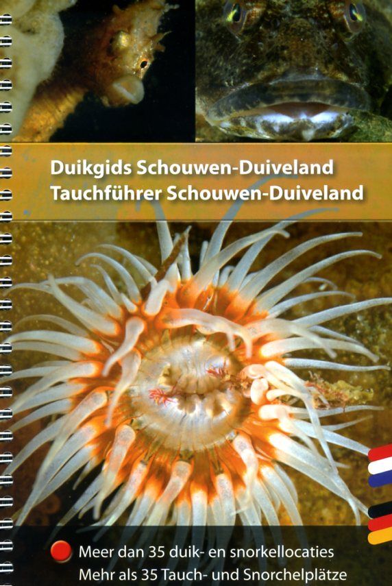 Duikgids Schouwen-Duiveland 10010204 Dolphins Dive Centre, Marloes Otten Caribbean Diveguides   Duik sportgidsen Zeeland