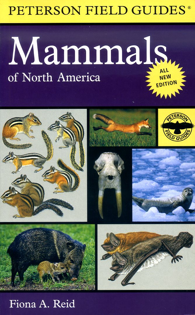 Peterson Field Guide to Mammals of North America 9780395935965  Houghton Mifflin Company   Natuurgidsen Noord-Amerika