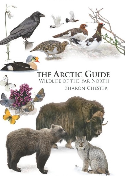 natuurgids, reisgids The Arctic Guide: Wildlife of the Far North 9780691139753  Princeton University Press   Natuurgidsen IJsland, Groenland, Faeröer, Spitsbergen, Noordpool