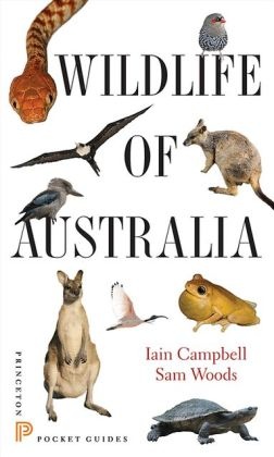 Wildlife of Australia 9780691153537 Campbell, Iain; Woods, Sam Princeton University Press   Natuurgidsen Australië