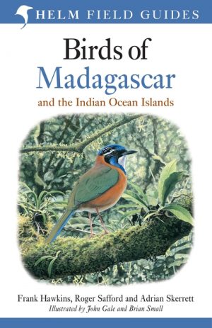 Birds of Madagascar and the Indian Ocean Islands 9781472924094 Roger Safford Helm   Natuurgidsen, Vogelboeken Madagascar