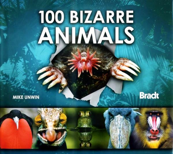 100 Bizarre Animals 9781841623009  Bradt   Natuurgidsen Wereld als geheel