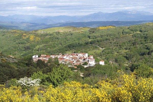 The Sierras of Extremadura | wandelgids 9781852848484  Cicerone Press   Wandelgidsen Extremadura