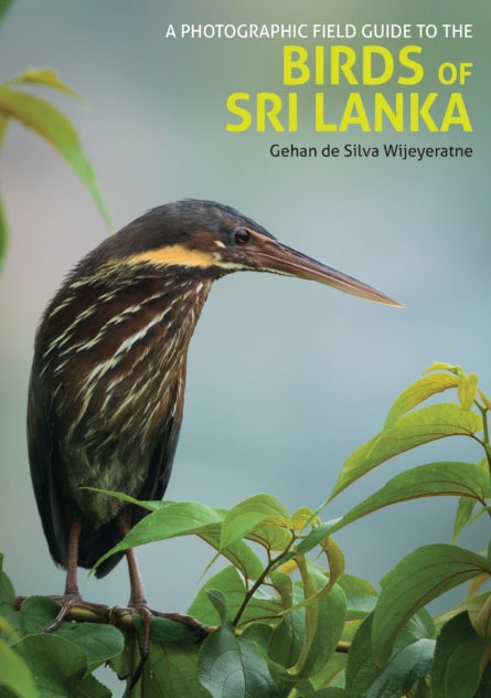 Photographic Field Guide to the Birds of Sri Lanka 9781909612839  John Beaufoy Publishing   Natuurgidsen, Vogelboeken Sri Lanka