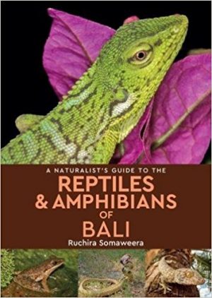 A Naturalist's Guide to the Reptiles & Amphibians of Bali 9781909612952  John Beaufoy   Natuurgidsen Bali & Lombok