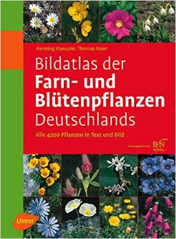Bildatlas der Farn- und Blütenpflanzen Deutschlands 9783800149902 Häupler, Mür Verlag Eugen Ulmer   Natuurgidsen, Plantenboeken Duitsland