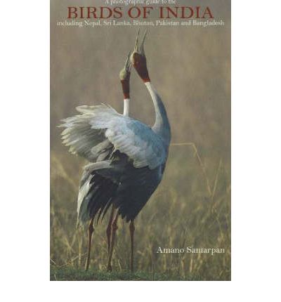 Birds of India 9788183280297  Wisdom Tree Photographic Guides  Natuurgidsen, Vogelboeken Zuid-Azië