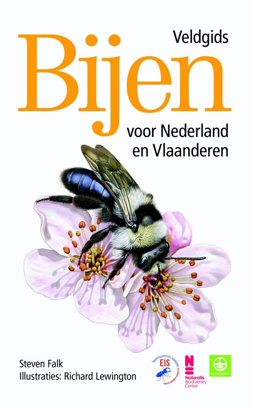 Bijen | Veldgids voor Nederland en Vlaanderen 9789021569055 Steven Falk, ill.: Richard Lewington Kosmos   Natuurgidsen Benelux