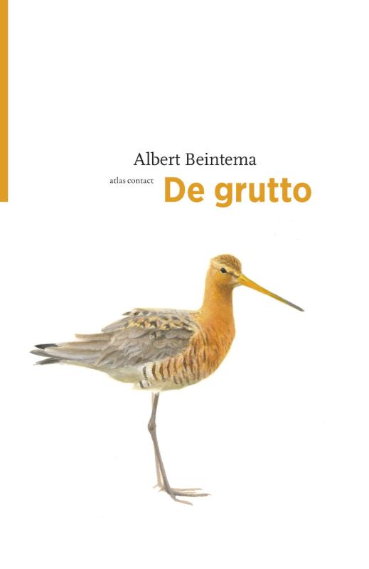 De grutto | Albert Beintema 9789045029443 Albert Beintema Atlas-Contact De Vogelserie  Natuurgidsen, Vogelboeken Reisinformatie algemeen