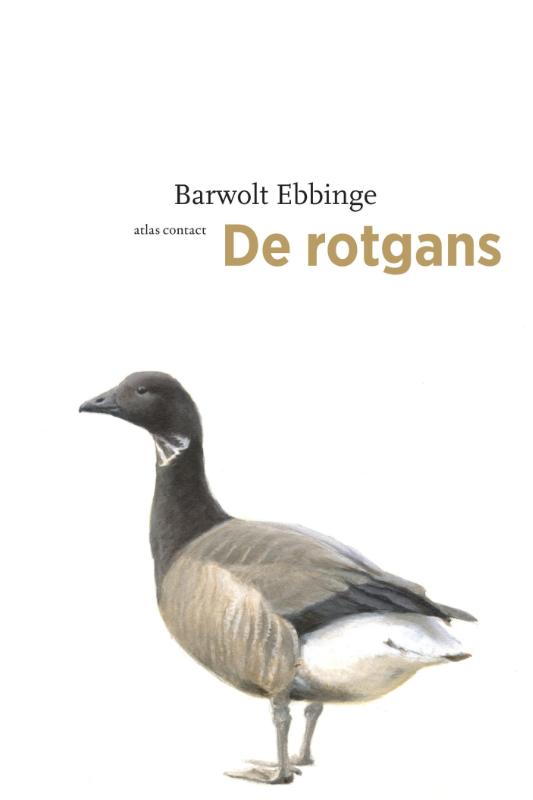 De Rotgans 9789045091600 Bart Ebbinge Atlas-Contact De Vogelserie  Natuurgidsen, Vogelboeken Reisinformatie algemeen