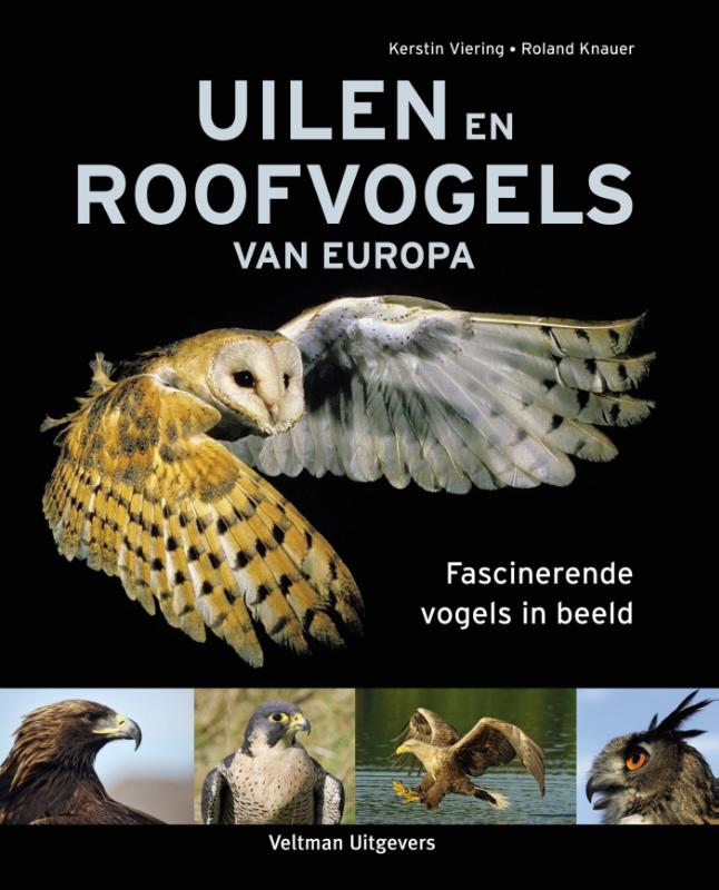 Uilen en roofvogels van Europa 9789048313136  Veltman   Natuurgidsen, Vogelboeken Europa