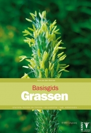 Basisgids Grassen 9789050115117 Arie van den Bremer KNNV Basisgidsen  Natuurgidsen, Plantenboeken Nederland