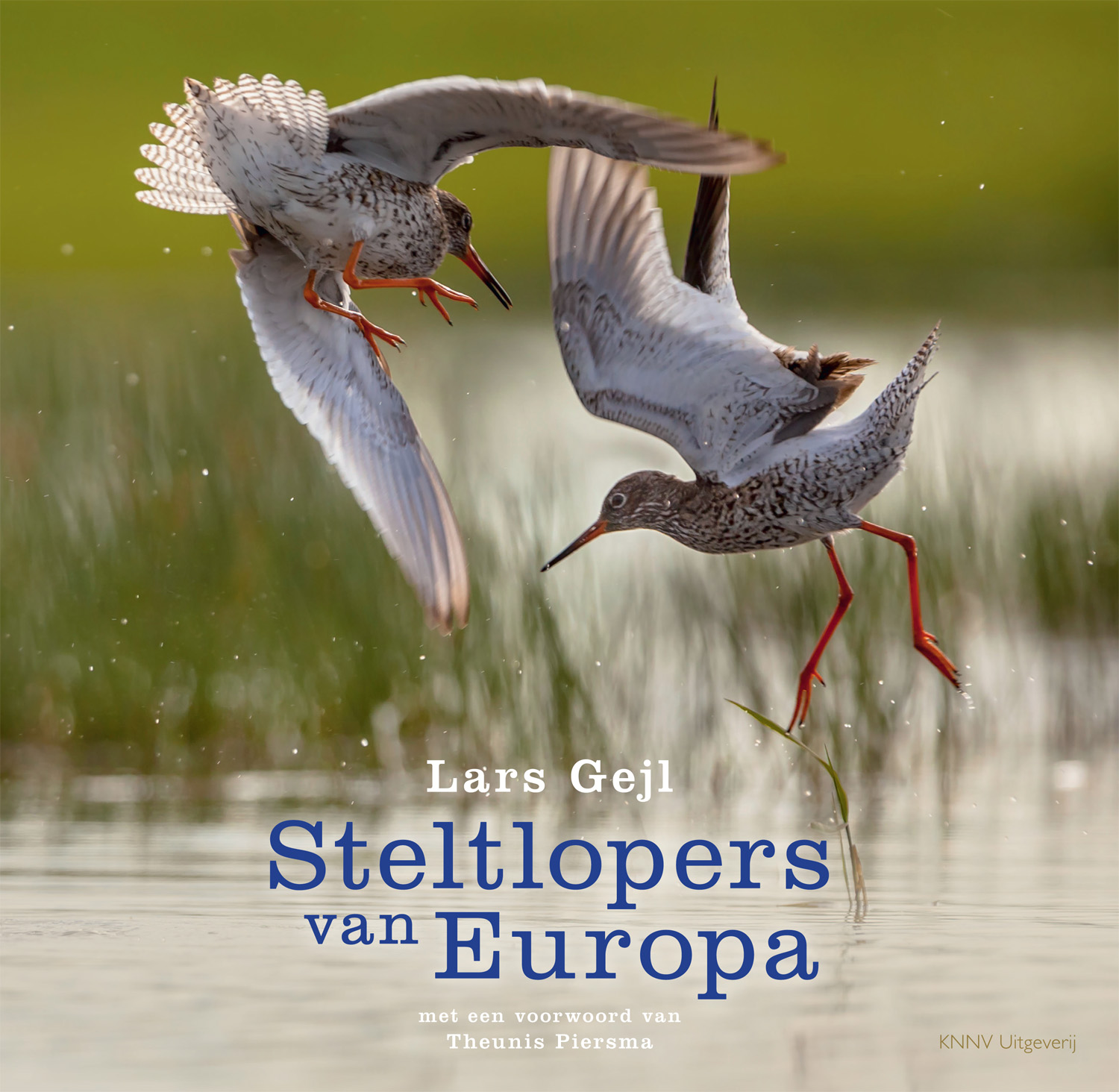Steltlopers van Europa | Lars Gejl 9789050115711 Lars Gejl KNNV   Natuurgidsen, Vogelboeken Europa