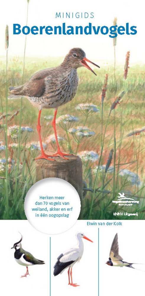 Minigids Boerenlandvogels 9789050116381 geïllustreerd door Elwin van der Kolk KNNV   Natuurgidsen, Vogelboeken Nederland