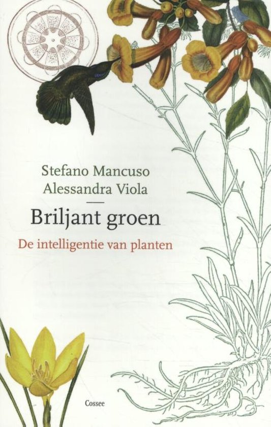 Briljant Groen | Stefano Mancuso 9789059368569 Stefano Mancuso Cossee   Natuurgidsen, Plantenboeken Reisinformatie algemeen