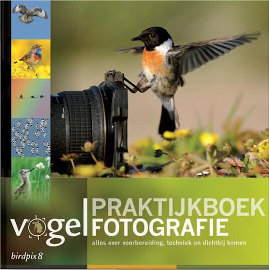 Praktijkboek vogelfotografie (Birdpix, 8) 9789079588053  Birdpix Natuurfotografie  Fotoboeken, Natuurgidsen, Vogelboeken Reisinformatie algemeen