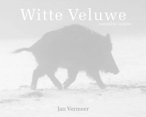 Witte Veluwe | Jan Vermeer 9789081696517 Jan Vermeer Vermeer Publishing   Fotoboeken Arnhem en de Veluwe
